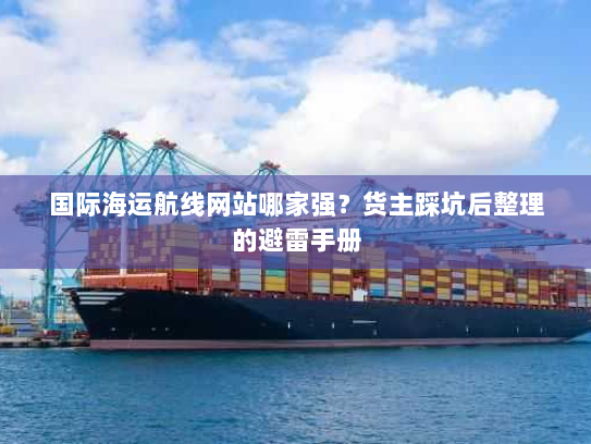 国际海运航线网站哪家强?货主踩坑后整理的避雷手册 国际海运航线网站哪家强?货主踩坑后整理的避雷手册