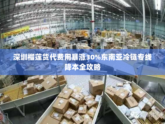 深圳榴莲货代费用暴涨30%东南亚冷链专线降本全攻略 深圳榴莲货代费用暴涨30%东南亚冷链专线降本全攻略