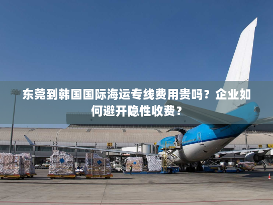 东莞到韩国国际海运专线费用贵吗?企业如何避开隐性收费? 东莞到韩国国际海运专线费用贵吗?企业如何避开隐性收费?