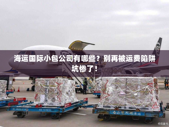 海运国际小包公司有哪些?别再被运费陷阱坑惨了! 海运国际小包公司有哪些?别再被运费陷阱坑惨了!