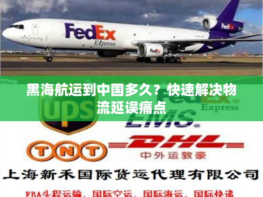 黑海航运到中国多久？快速解决物流延误痛点