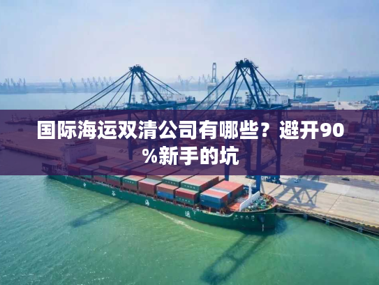 国际海运双清公司有哪些？避开90%新手的坑
