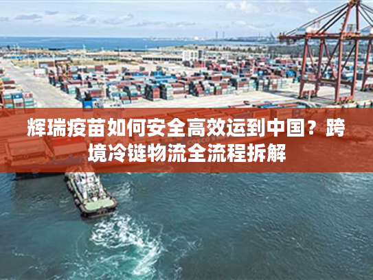 辉瑞疫苗如何安全高效运到中国?跨境冷链物流全流程拆解 辉瑞疫苗如何安全高效运到中国?跨境冷链物流全流程拆解