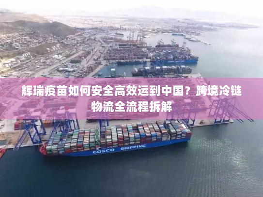 辉瑞疫苗如何安全高效运到中国?跨境冷链物流全流程拆解 辉瑞疫苗如何安全高效运到中国?跨境冷链物流全流程拆解