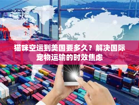 猫咪空运到美国要多久？解决国际宠物运输的时效焦虑