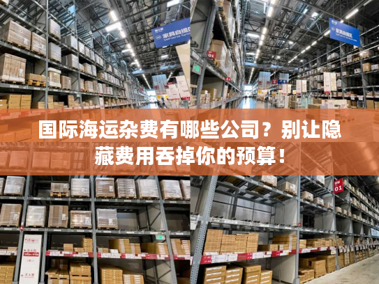 国际海运杂费有哪些公司？别让隐藏费用吞掉你的预算！