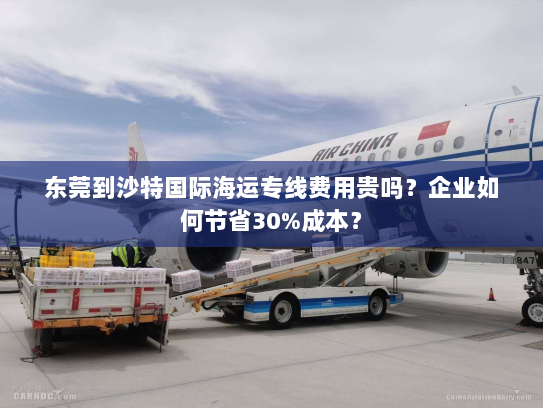东莞到沙特国际海运专线费用贵吗？企业如何节省30%成本？