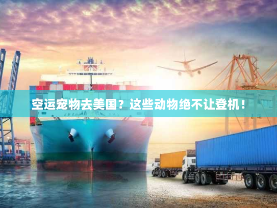 空运宠物去美国?这些动物绝不让登机! 空运宠物去美国?这些动物绝不让登机!