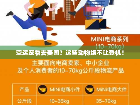 空运宠物去美国？这些动物绝不让登机！