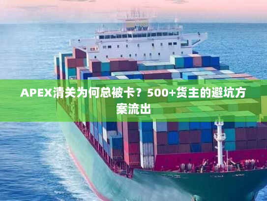 APEX清关为何总被卡？500+货主的避坑方案流出