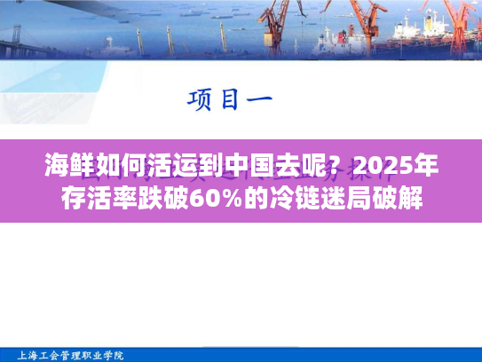 海鲜如何活运到中国去呢?2025年存活率跌破60%的冷链迷局破解 海鲜如何活运到中国去呢?2025年存活率跌破60%的冷链迷局破解