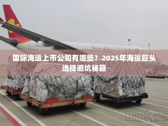 国际海运上市公司有哪些？2025年海运巨头选择避坑秘籍