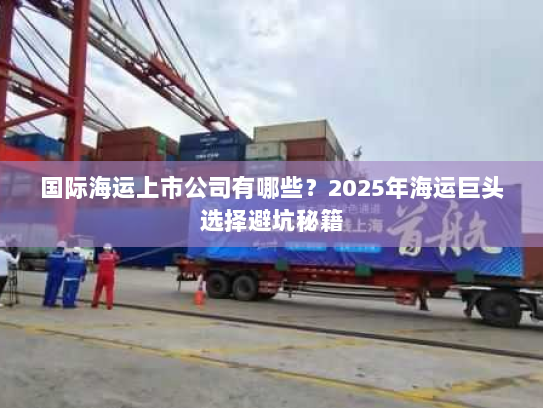 国际海运上市公司有哪些？2025年海运巨头选择避坑秘籍
