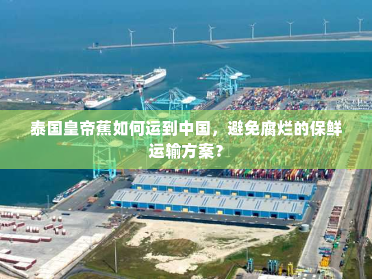 泰国皇帝蕉如何运到中国,避免腐烂的保鲜运输方案? 泰国皇帝蕉如何运到中国,避免腐烂的保鲜运输方案?