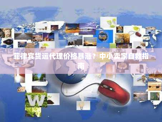 菲律宾货运代理价格暴涨?中小卖家自救指南 菲律宾货运代理价格暴涨?中小卖家自救指南