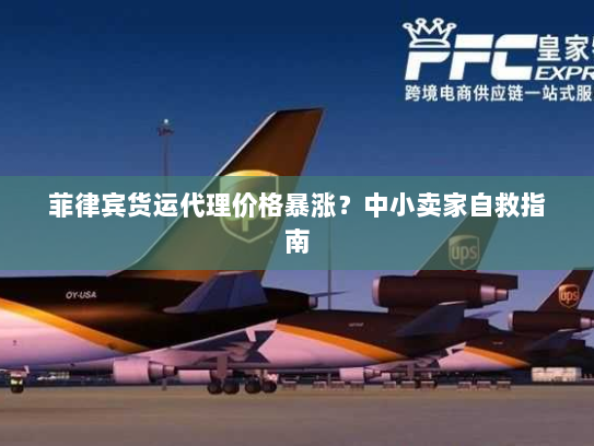 菲律宾货运代理价格暴涨?中小卖家自救指南 菲律宾货运代理价格暴涨?中小卖家自救指南