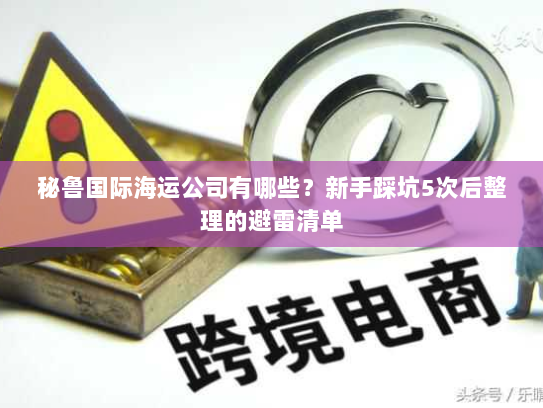秘鲁国际海运公司有哪些？新手踩坑5次后整理的避雷清单