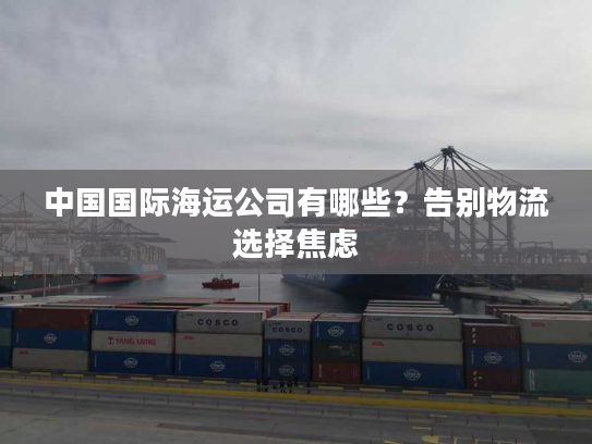 中国国际海运公司有哪些?告别物流选择焦虑 中国国际海运公司有哪些?告别物流选择焦虑