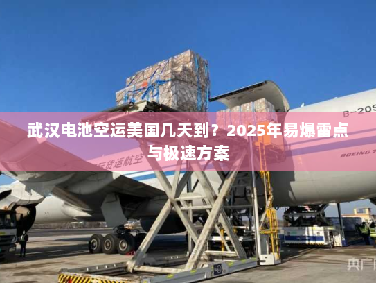 武汉电池空运美国几天到？2025年易爆雷点与极速方案