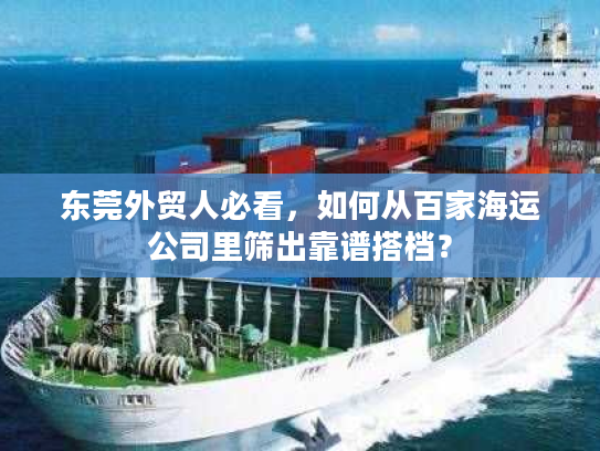 东莞外贸人必看，如何从百家海运公司里筛出靠谱搭档？