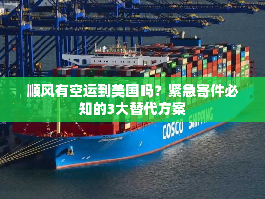 顺风有空运到美国吗？紧急寄件必知的3大替代方案