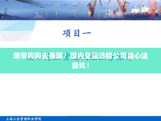 想带狗狗去美国？国内空运选错公司当心这些坑！