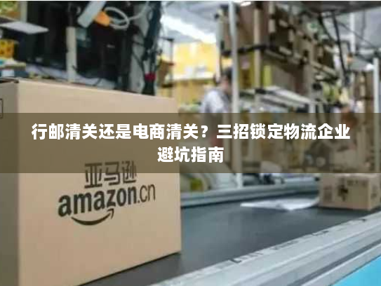 行邮清关还是电商清关?三招锁定物流企业避坑指南 行邮清关还是电商清关?三招锁定物流企业避坑指南