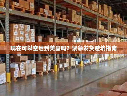 现在可以空运到美国吗？紧急发货避坑指南