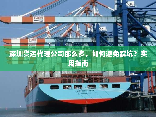 深圳货运代理公司那么多,如何避免踩坑?实用指南 深圳货运代理公司那么多,如何避免踩坑?实用指南