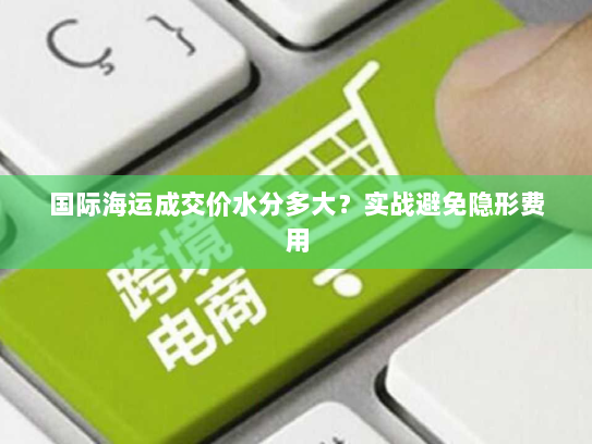 国际海运成交价水分多大？实战避免隐形费用