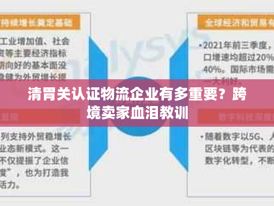 清胃关认证物流企业有多重要？跨境卖家血泪教训
