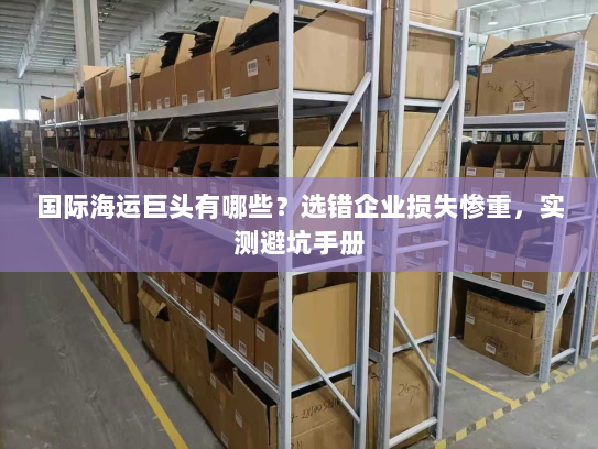 国际海运巨头有哪些？选错企业损失惨重，实测避坑手册
