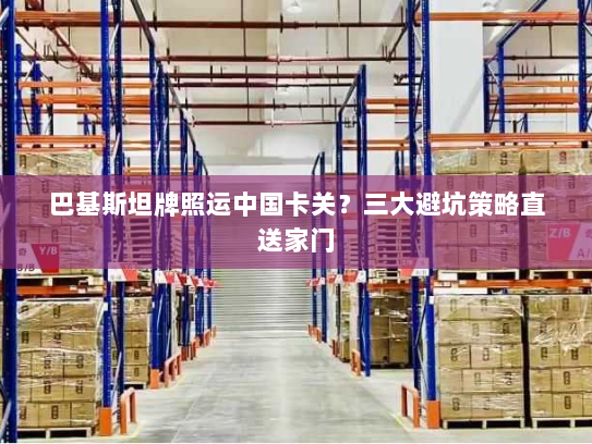 巴基斯坦牌照运中国卡关?三大避坑策略直送家门 巴基斯坦牌照运中国卡关?三大避坑策略直送家门