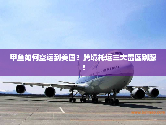甲鱼如何空运到美国？跨境托运三大雷区别踩！
