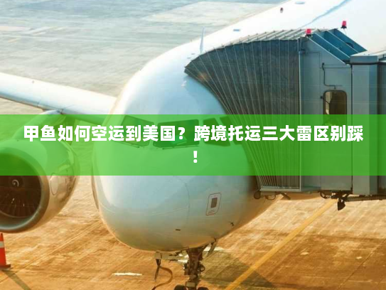 甲鱼如何空运到美国？跨境托运三大雷区别踩！