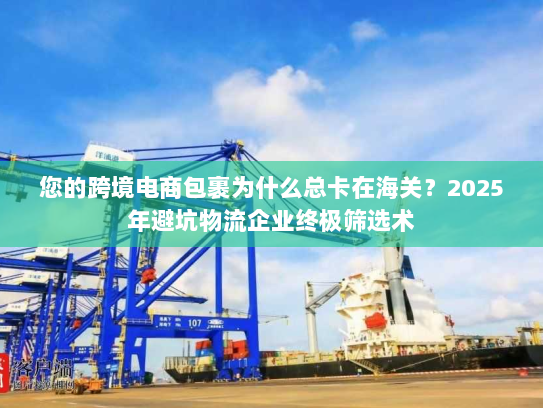 您的跨境电商包裹为什么总卡在海关？2025年避坑物流企业终极筛选术