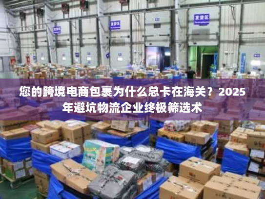 您的跨境电商包裹为什么总卡在海关？2025年避坑物流企业终极筛选术