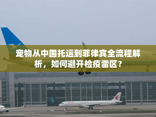 宠物从中国托运到菲律宾全流程解析，如何避开检疫雷区？