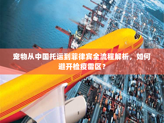 宠物从中国托运到菲律宾全流程解析，如何避开检疫雷区？