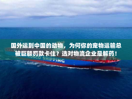 国外运到中国的动物,为何你的宠物运输总被巨额罚款卡住?选对物流企业是解药! 国外运到中国的动物,为何你的宠物运输总被巨额罚款卡住?选对物流企业是解药!
