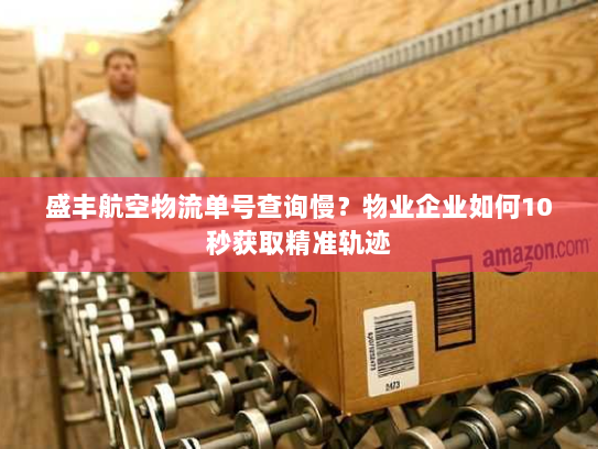 盛丰航空物流单号查询慢?物业企业如何10秒获取精准轨迹 盛丰航空物流单号查询慢?物业企业如何10秒获取精准轨迹