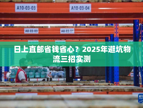 日上直邮省钱省心？2025年避坑物流三招实测