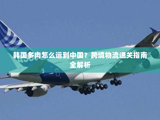 韩国多肉怎么运到中国?跨境物流通关指南全解析 韩国多肉怎么运到中国?跨境物流通关指南全解析