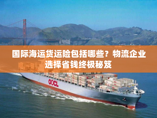 国际海运货运险包括哪些?物流企业选择省钱终极秘笈 国际海运货运险包括哪些?物流企业选择省钱终极秘笈