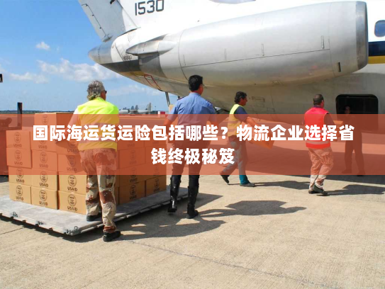 国际海运货运险包括哪些？物流企业选择省钱终极秘笈