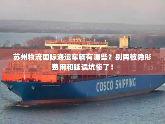 苏州物流国际海运车辆有哪些?别再被隐形费用和延误坑惨了! 苏州物流国际海运车辆有哪些?别再被隐形费用和延误坑惨了!