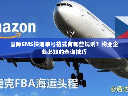 国际EMS快递单号格式有哪些规则？物业企业必知的查询技巧