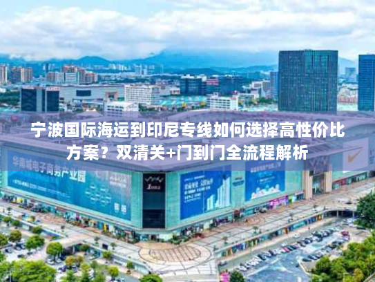 宁波国际海运到印尼专线如何选择高性价比方案？双清关+门到门全流程解析