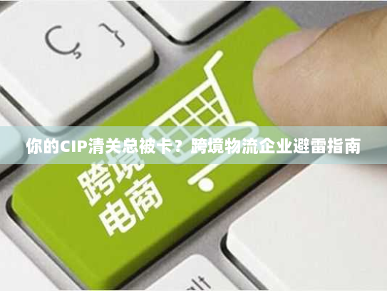 你的CIP清关总被卡?跨境物流企业避雷指南 你的CIP清关总被卡?跨境物流企业避雷指南