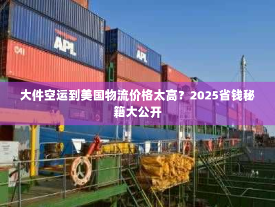 大件空运到美国物流价格太高？2025省钱秘籍大公开